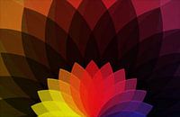 vector flower 