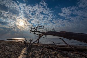 Landschaft an der Küste der Ostsee in Graal-Müritz