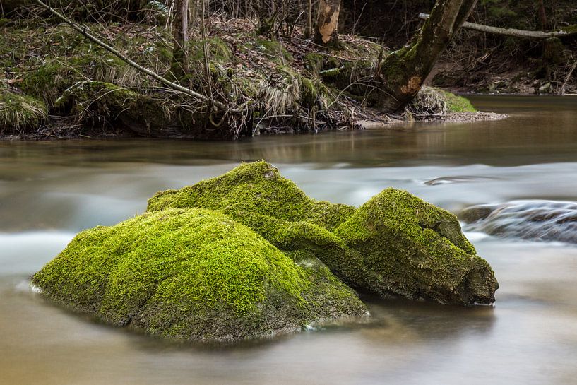 Fels im Wasser van Andreas Stach