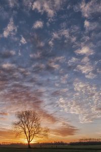 Mooie wolkenlucht bij zonsopkomst van Moetwil en van Dijk - Fotografie