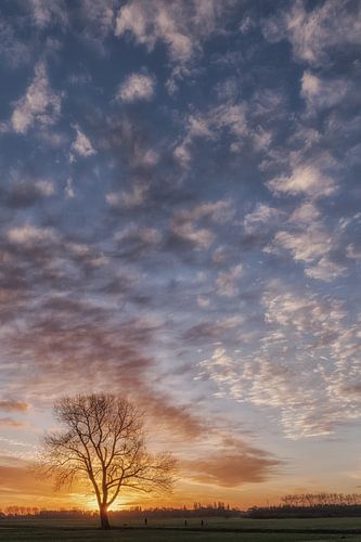 Mooie wolkenlucht bij zonsopkomst