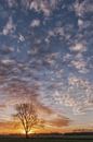 Beautiful clouds at sunrise by Moetwil en van Dijk - Fotografie thumbnail