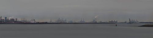Panorama d'Europoort