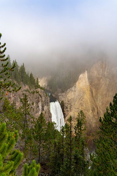 Lower Falls, Yellowstone National Park, USA by Jeroen van Deel
