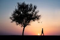 Sonnenuntergang Boulevard