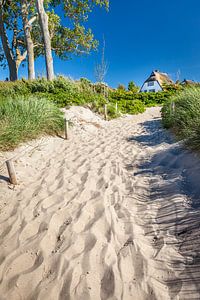 Strandaufgang in Ahrenshoop an der Ostsee