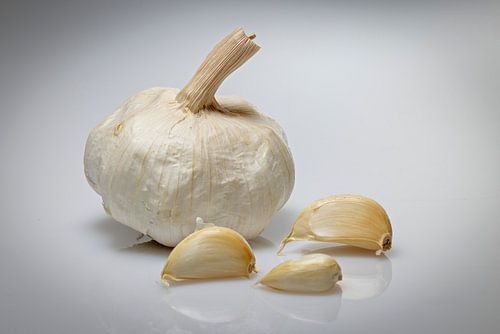 Garlic