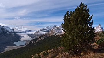 Parker Ridge sur Timon Schneider