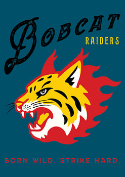 BOBCAT-FAHRER