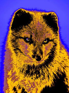 Pop Fox van Mad Dog Art