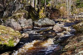 Wildwasser von Geertjan Plooijer