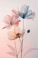 Frühlingsblumen Blumen