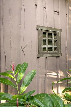 Window in wooden house von Tim Verlinden