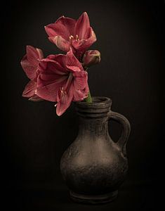 Nature morte avec Amaryllis en carafe sur Marjolein van Middelkoop