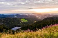 View from the Feldberg mountain over the Black Forest in Germany