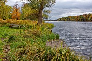 Automnale idylle au lac Groß Behnitz
