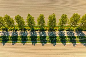 Route dans un paysage rural vue du ciel sur Sjoerd van der Wal Photographie