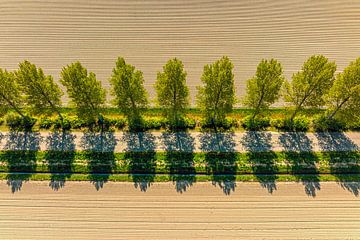 Road in a rural landscape seen from above by Sjoerd van der Wal Photography