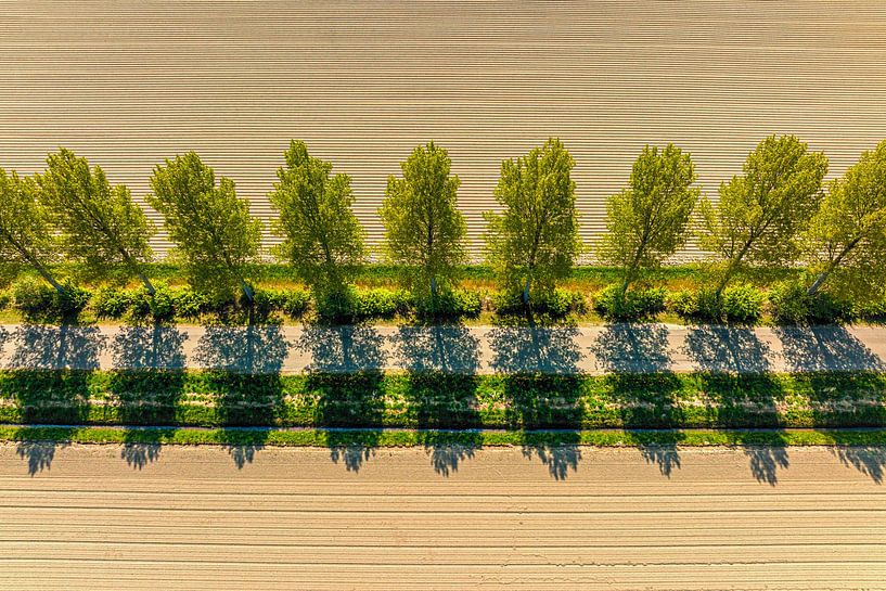 Weg in een landelijk landschap van bovenaf gezien van Sjoerd van der Wal Fotografie