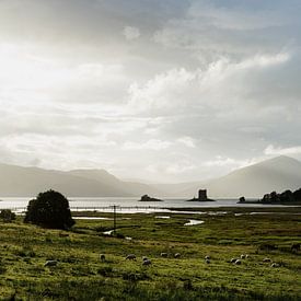 Typische schottische Landschaft in den schottischen Highlands bei Castle Stalker von Robert Paul Jansen