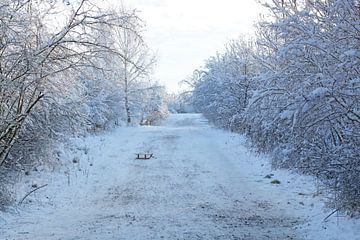 Winterlandschaft von Bo Valentino