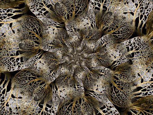 Hortensia twist Gold II