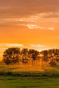 Vuurrode zonsondergang van Koen Boelrijk Photography