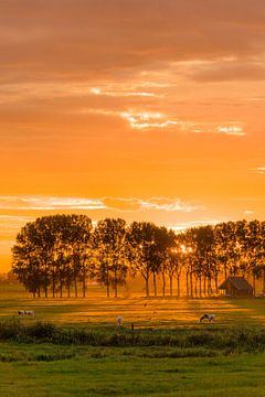 Coucher de soleil rouge feu sur Koen Boelrijk Photography