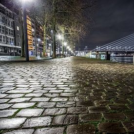 Bridges of Rotterdam van Kees Brunia