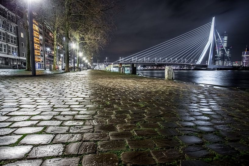 Bridges of Rotterdam by Kees Brunia