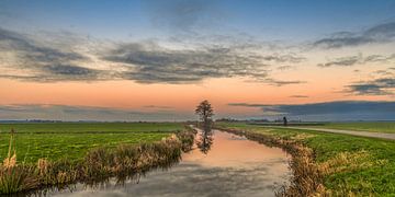 Sloot en boom tijdens zonsondergang in Gaasterland, Friesland.