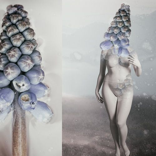 Schaufensterpuppe der Weinrebe