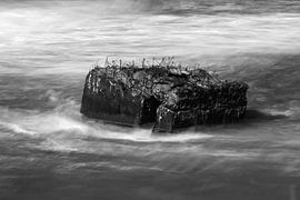 National People's Army Bunkers at Ahrenshoop, Darß peninsula van Jörg Hausmann