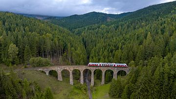 Train sur un viaduc en pierre dans une forêt slovaque sur Ewold Kooistra