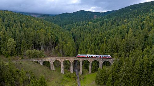 Trein op stenen viaduct in Slowaaks bos
