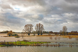 Gezicht op slot Loevesteijn tijdens hoog water van Petra Kilwinger