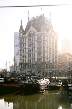 A portrait of The White House in Rotterdam
