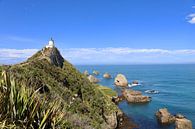 Nouvelle-Zélande : Phare de Nugget Point par Be More Outdoor Aperçu