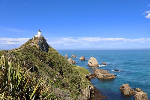Nugget Point: Helles Nachmittagslicht über blauem Ozean