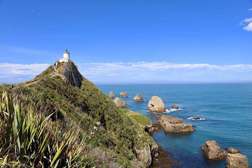 Neuseeland: Leuchtturm Nugget Point von Be More Outdoor