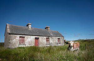House is cowshed in rural Ireland