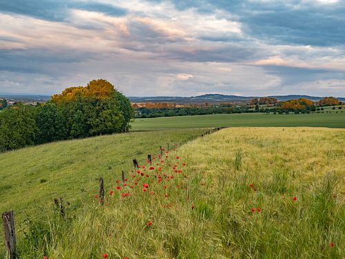 Het platteland van de Vogezen in Frankrijk