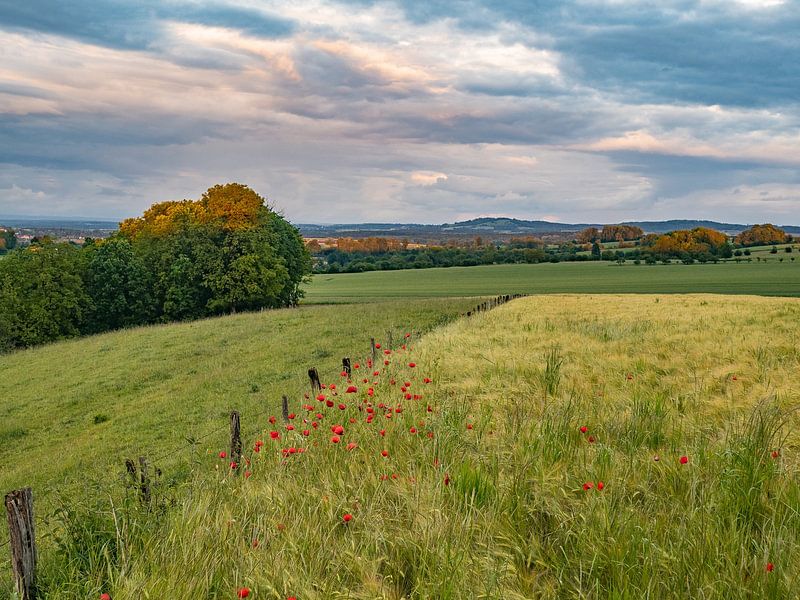 The Vosges countryside in France by Martijn Joosse
