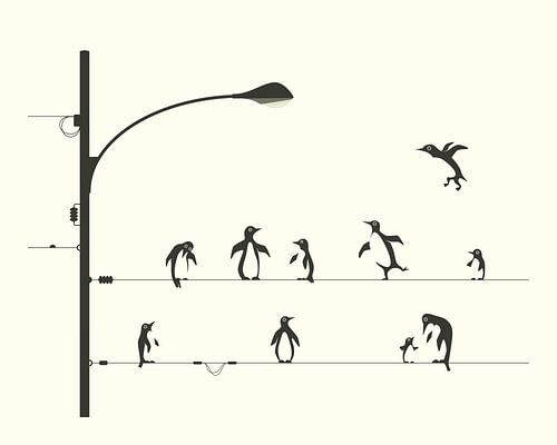 Pinguïns op een draad