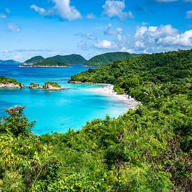 Trunk Bay, Saint John, Amerikaanse Maagdeneilanden van Nancy Pauwels Photo
