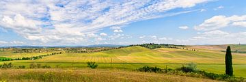 Tuscan landscape Crete Senesi by eric van der eijk