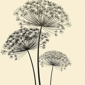 Allium bulbs by Bert Nijholt