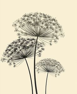 Allium-Zwiebeln