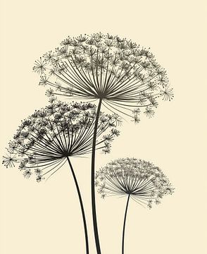 Allium bulbs by Bert Nijholt