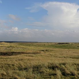 Panorama Ballumer duinen van Sander de Jong